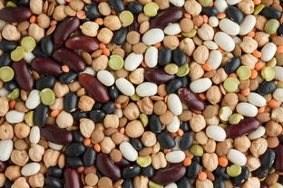 豆子种类大全图片 各种谷物豆类素材 高清图片 摄影照片 寻图免费打包下载