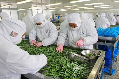 2021年中国成为乌克兰农产品主要买家
